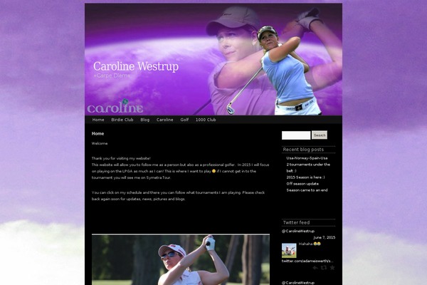 Atmosphere 2010 theme site design template sample