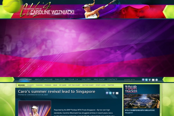 caro theme websites examples