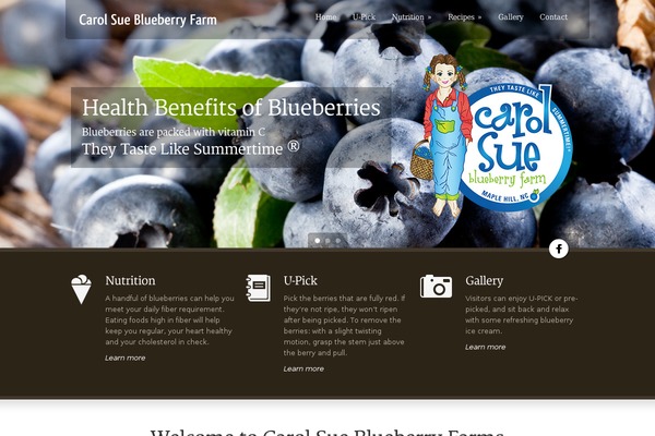 Green Earth 1.07 theme site design template sample