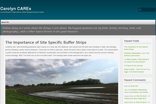 multi-color theme site design template sample