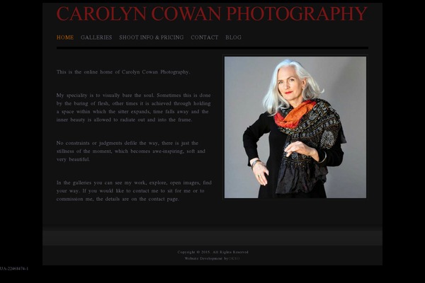 Catalyst theme site design template sample