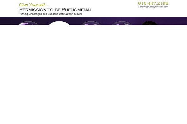 Sheeva theme site design template sample