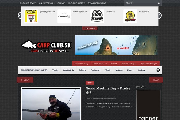 Continuum theme site design template sample
