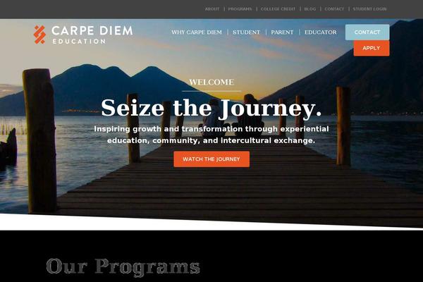 Flash theme site design template sample