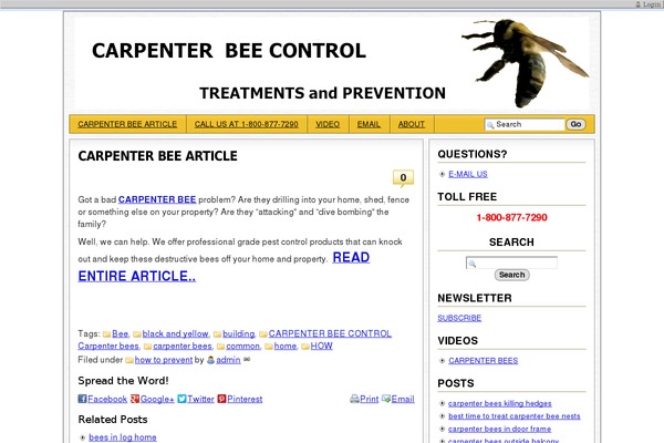 Sem Reloaded theme site design template sample