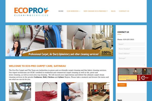 Ace theme site design template sample