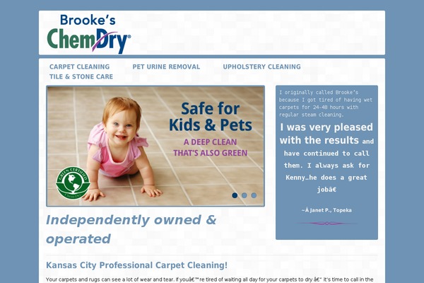 chemdry-1 theme websites examples