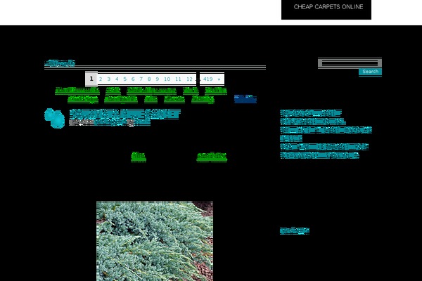 Bwater theme site design template sample