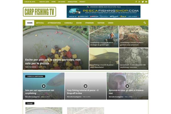 Video theme site design template sample