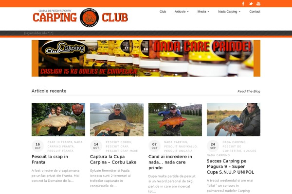 Superspark-v1-01 theme site design template sample
