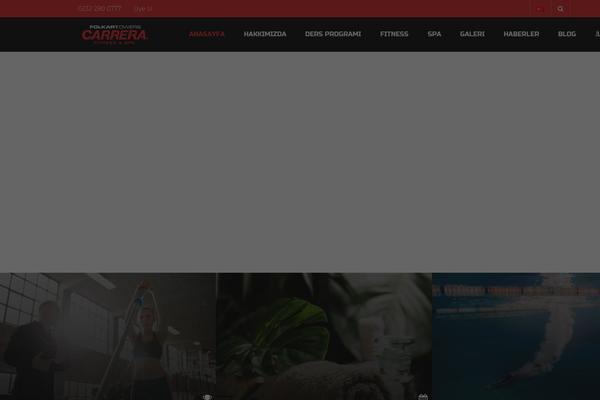 Site using Wp-ajax-query-shortcode plugin