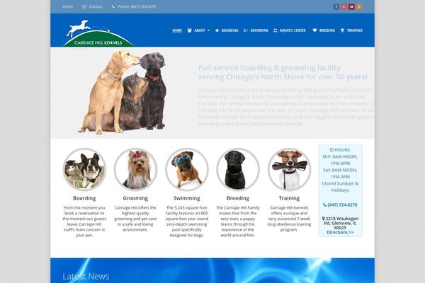 Thunder theme site design template sample
