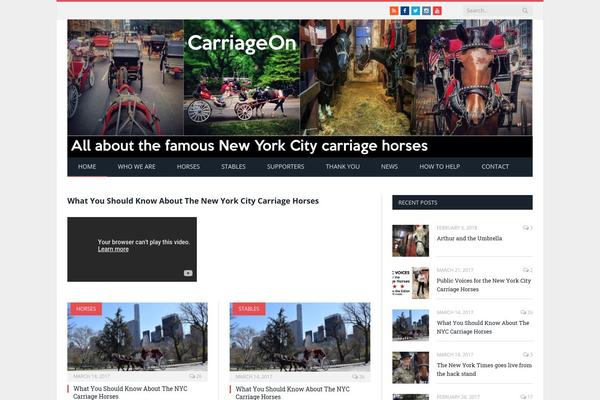 Site using Instagram-feed-pro plugin