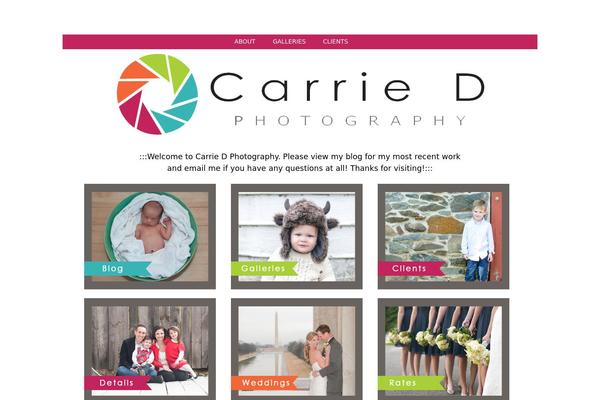 Prophoto4 theme site design template sample