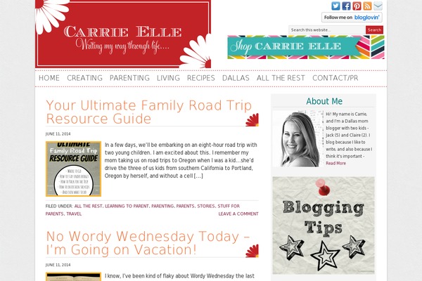 Site using Mediavine-trellis-images plugin