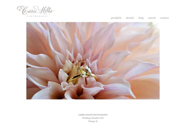 ProPhoto 5 theme site design template sample