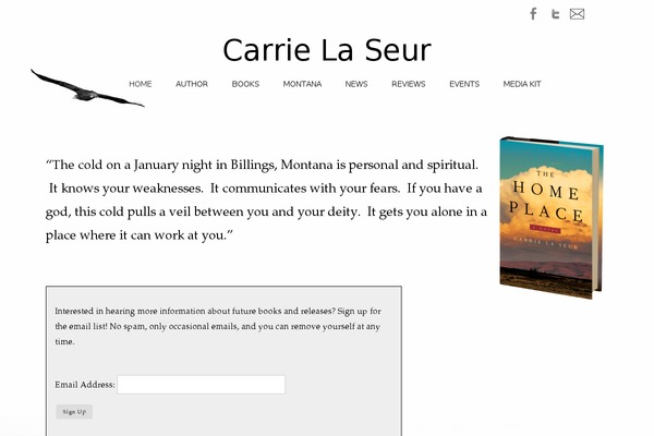 Headway theme site design template sample
