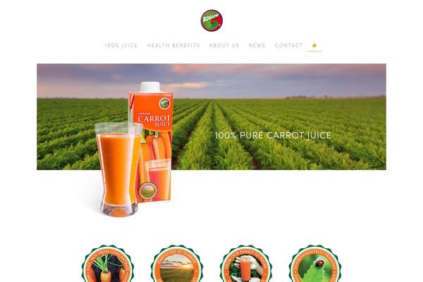 Jupiter Child theme site design template sample