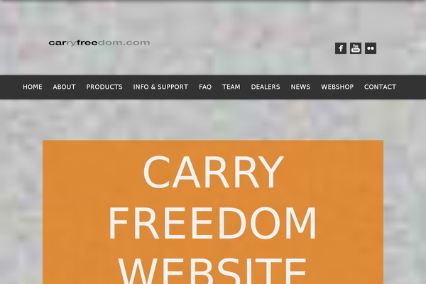 Nash theme site design template sample