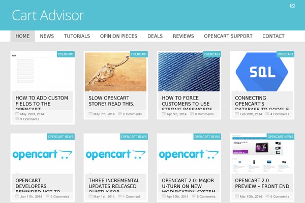 NovoMag website example screenshot