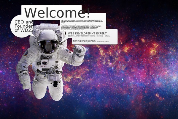 tapptastic-child theme websites examples