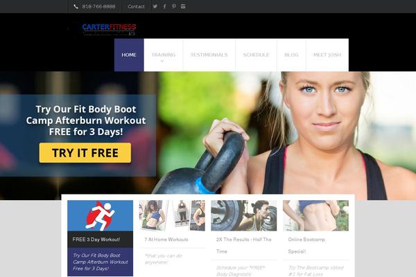 Fit Wp theme site design template sample