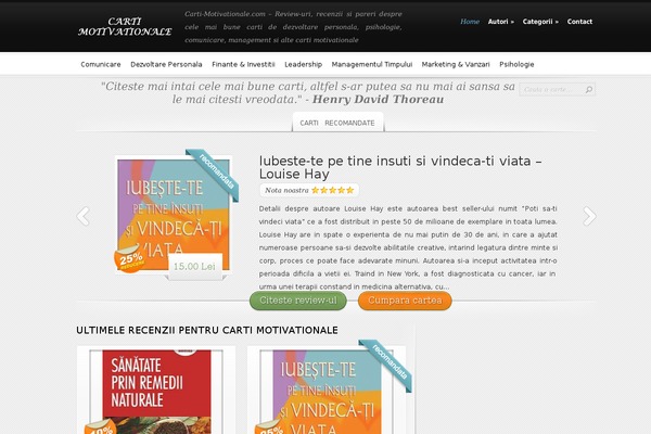 InReview theme site design template sample