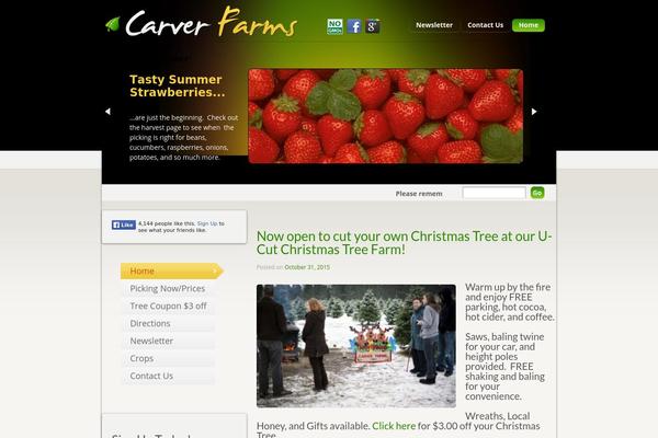 One Page Express theme site design template sample