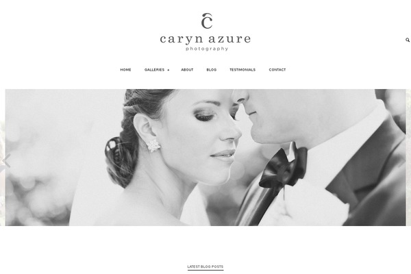 Pilot theme site design template sample