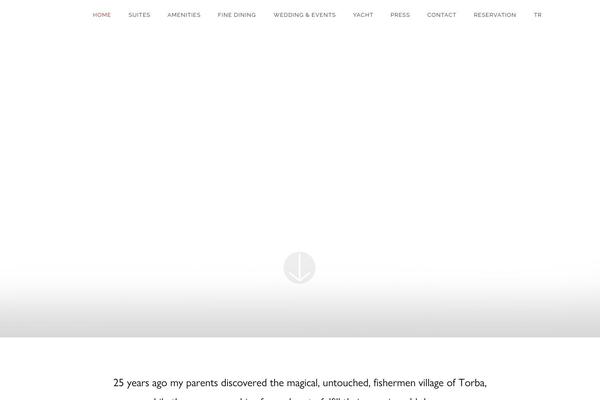 Site using Popups - WordPress Popup plugin