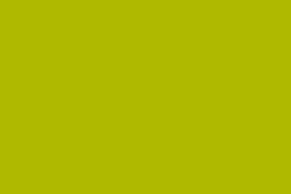 Site using Prisna-wp-translate plugin
