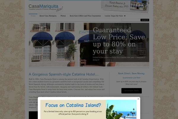 MiniBuzz theme site design template sample