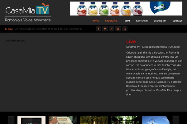 Truemag theme site design template sample
