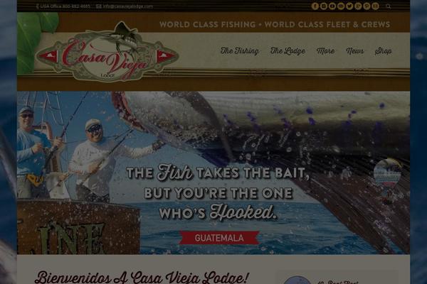 Site using Wp-review-slider-pro plugin