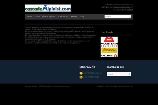 BlackBird theme site design template sample