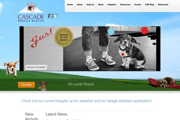 Versatile theme site design template sample