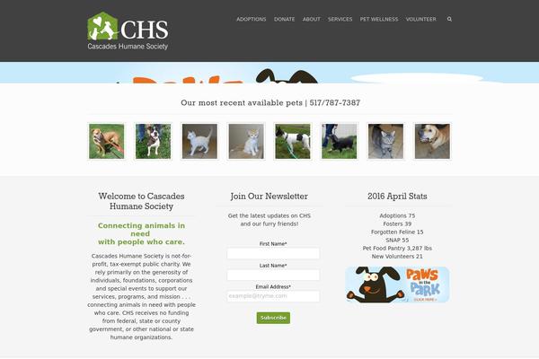 Rescue theme site design template sample