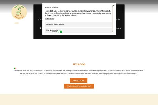 Site using Wpml-translation-management plugin