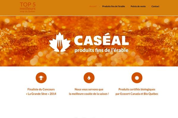 caseal.com site used Basic-theme