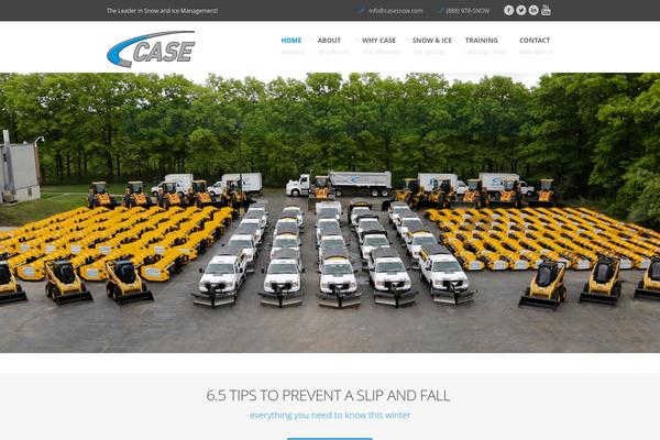 Bigwig theme site design template sample