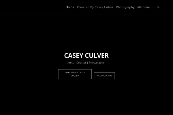 Site using Salient-portfolio plugin