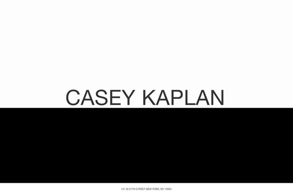 caseykaplangallery.com site used Newtheme