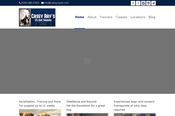 Frisco theme site design template sample