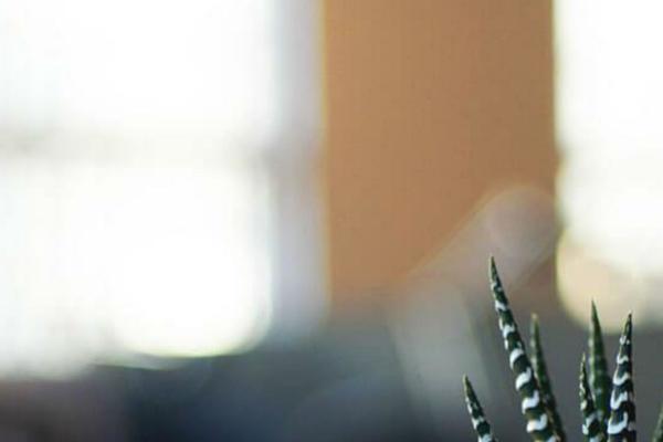 FullScreenThemeRes theme websites examples