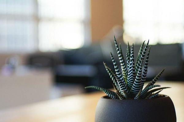 casi-com.com site used Responsive_007