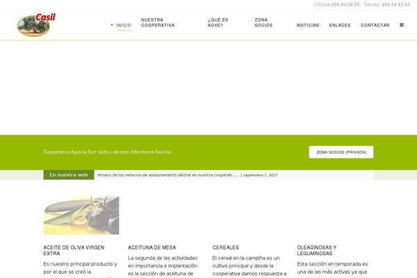 Site using Social Media Mashup plugin
