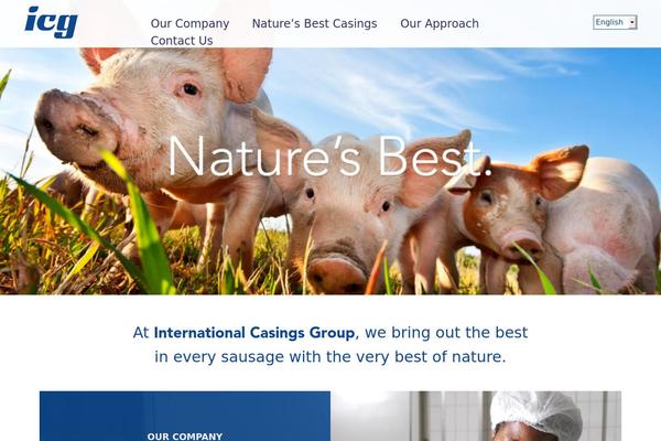 casings.com site used Icg