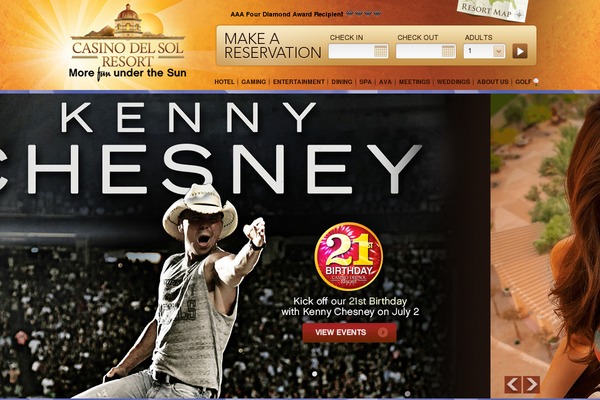 Cds theme site design template sample