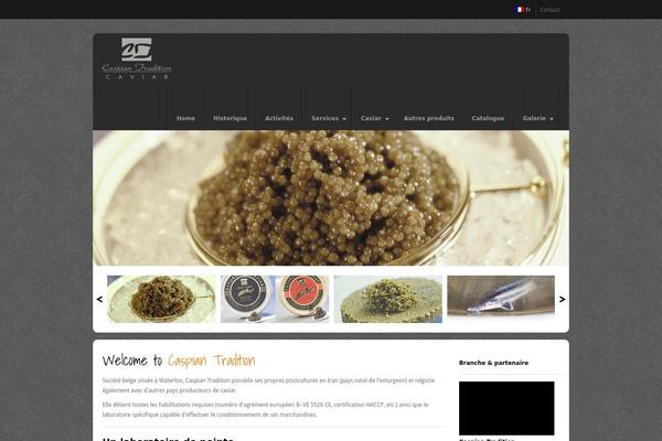 Memento theme site design template sample