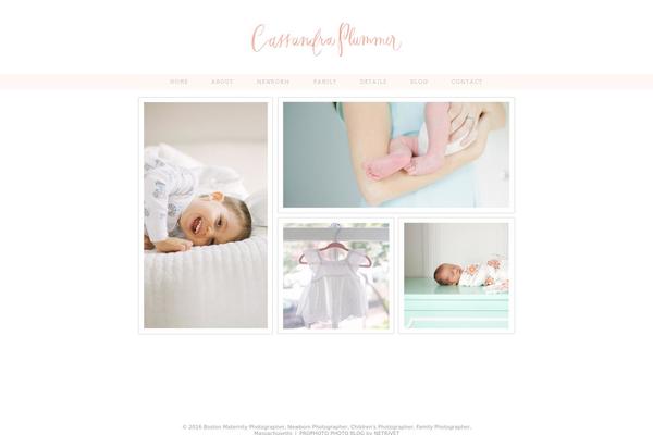 Prophoto4 theme site design template sample
